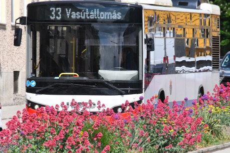 Növekvő utasszám, emelkedő bérleteladás a székesfehérvári közösségi közlekedésben
